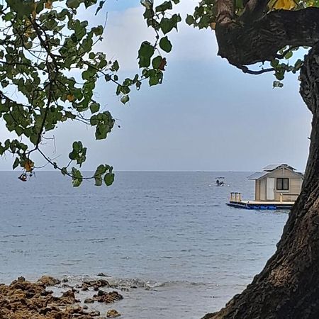 ペムテラン La Paparrucha Bali Bed & Breakfast エクステリア 写真