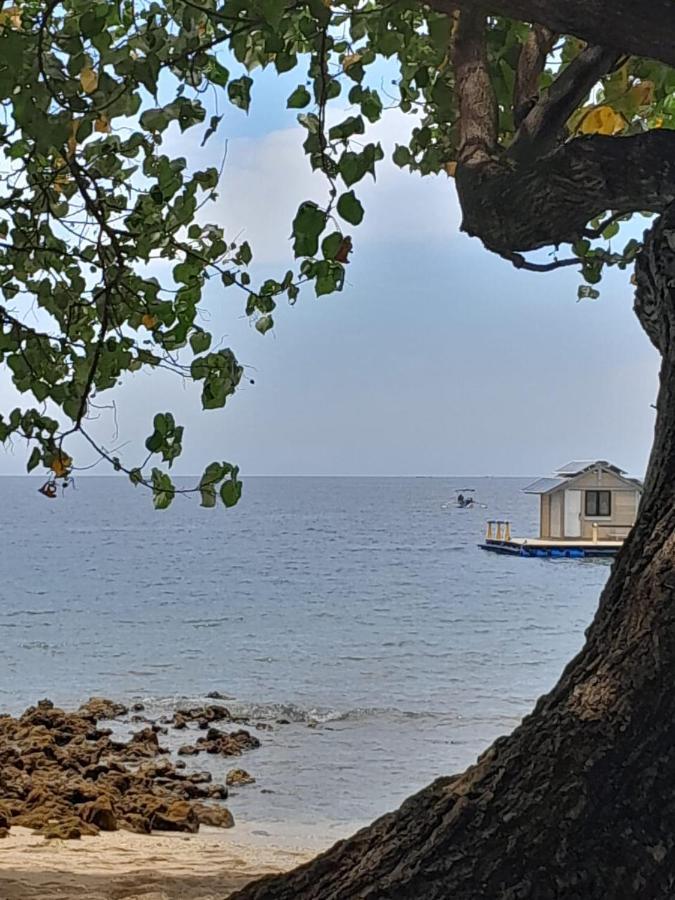ペムテラン La Paparrucha Bali Bed & Breakfast エクステリア 写真