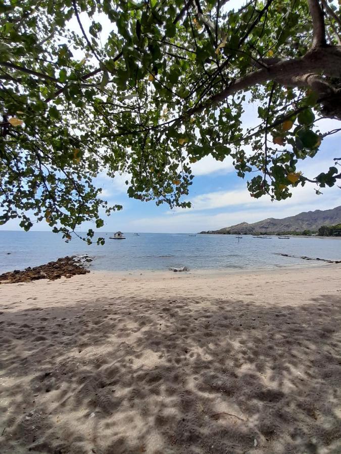 ペムテラン La Paparrucha Bali Bed & Breakfast エクステリア 写真